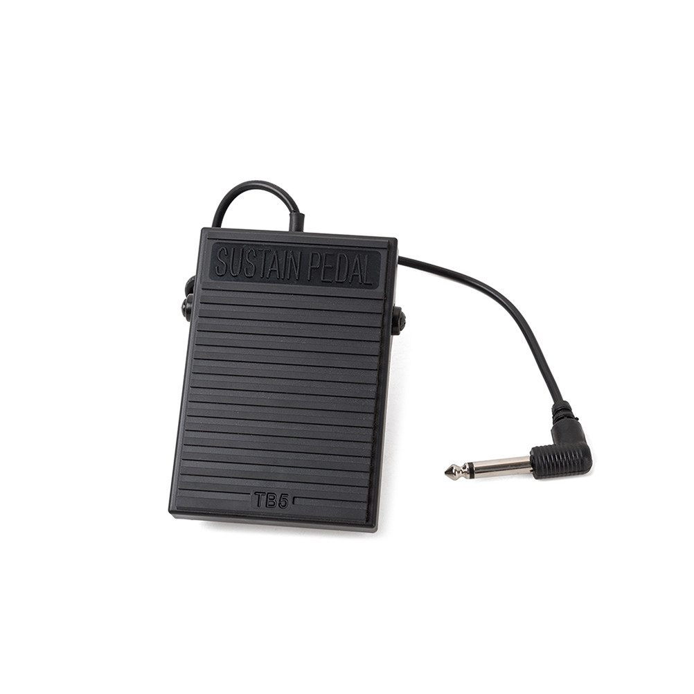 Universal Black Foot Sustain P - огляд і ціна Piano Sustain Pedal